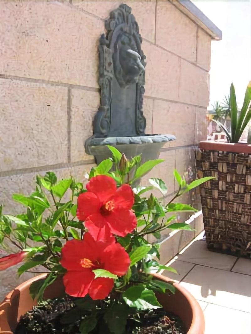וירג'יו Hotel Garden מראה חיצוני תמונה