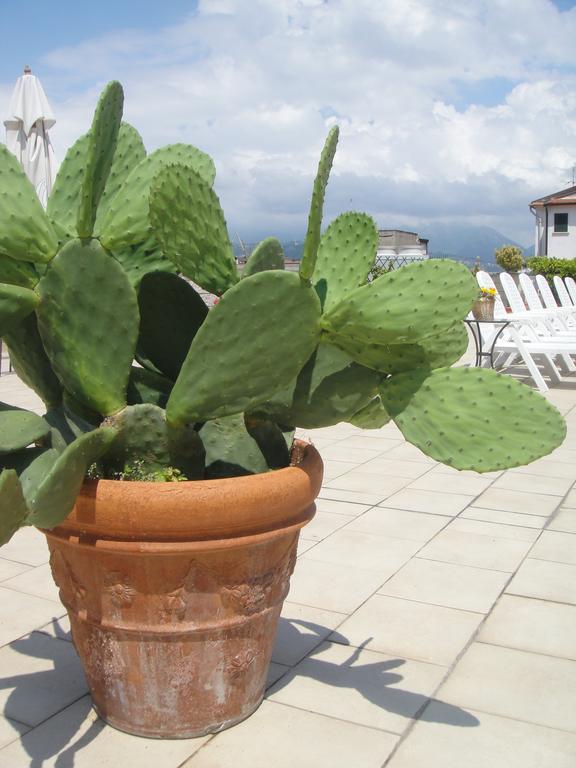 וירג'יו Hotel Garden מראה חיצוני תמונה